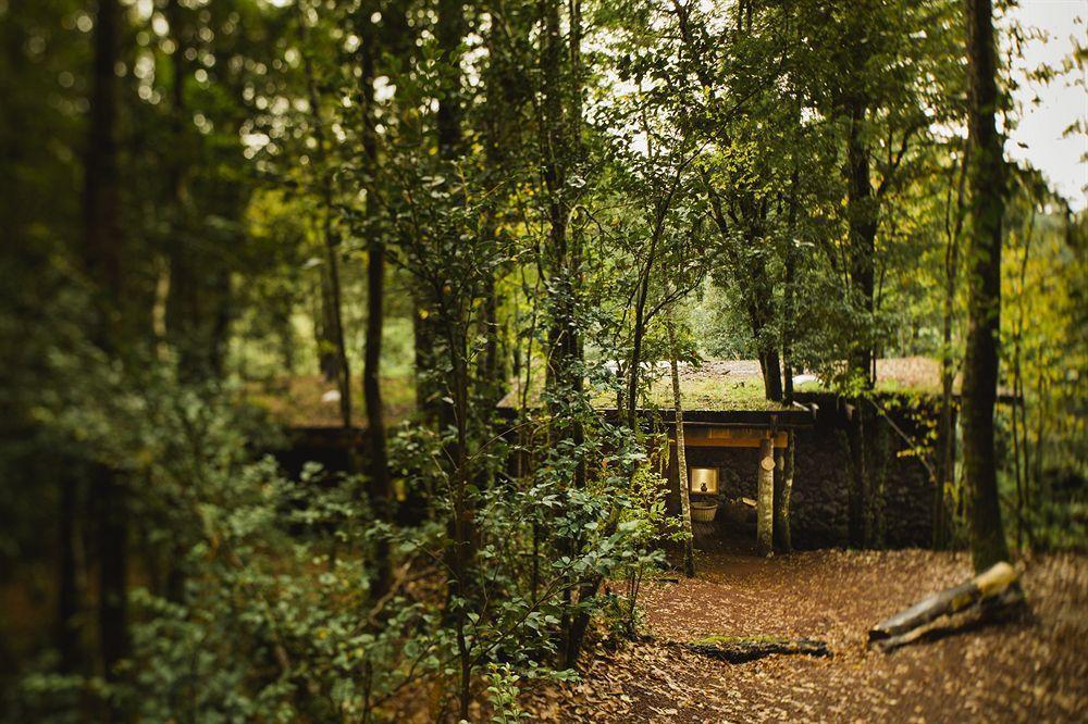 Huilo Huilo Nawelpi Lodge Пуэрто-Фуй Экстерьер фото