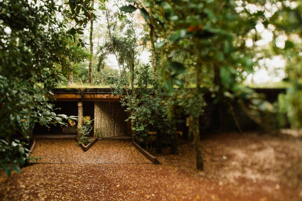 Huilo Huilo Nawelpi Lodge Пуэрто-Фуй Экстерьер фото