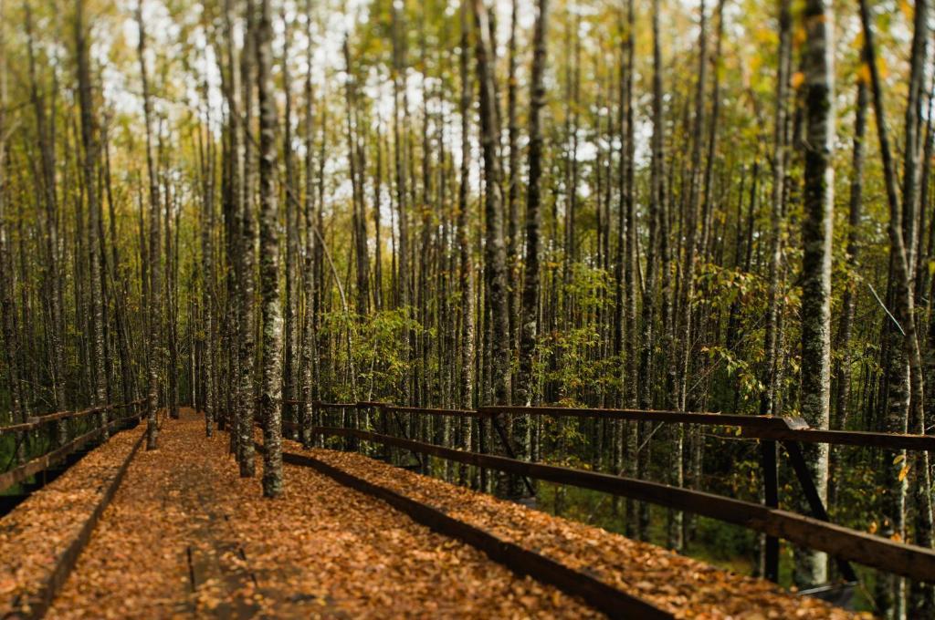 Huilo Huilo Nawelpi Lodge Пуэрто-Фуй Экстерьер фото